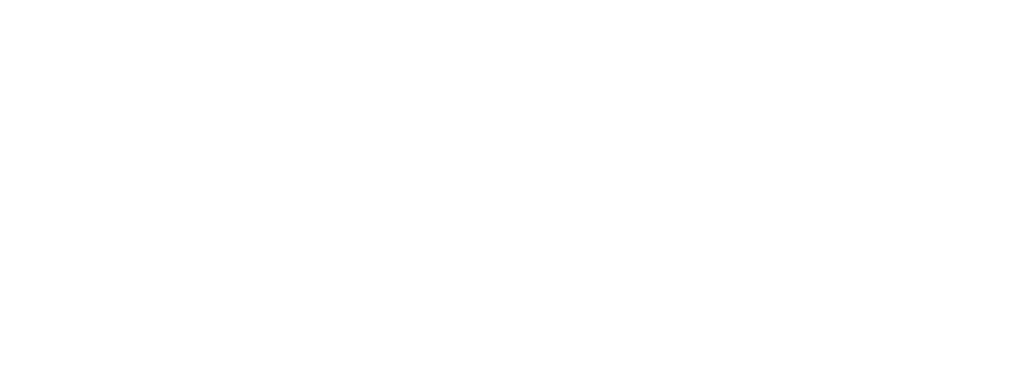 Talent Beyond Boundaries